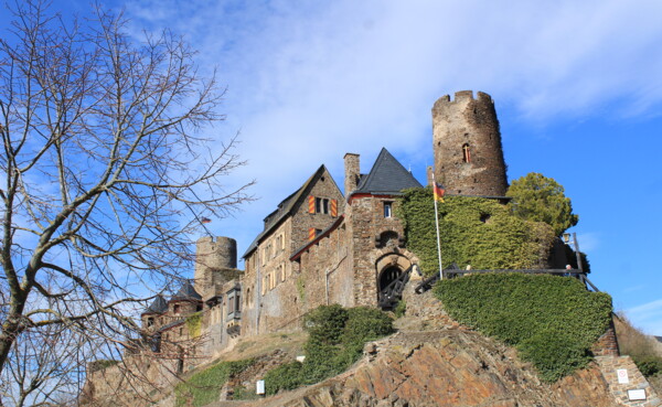 Gezicht op het kasteel van Thurant op een heuveltop, een boom zonder bladeren op de voorgrond en blauwe lucht op de achtergrond © Koblenz-Touristik GmbH, Katharina Röper 